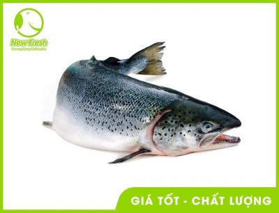 Combo 2Kg Cá Hồi Nauy Tươi Nguyên Con 5/6