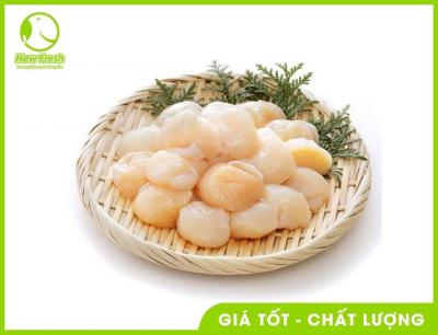 Combo 2Kg Cồi Sò Điệp Size 40-60