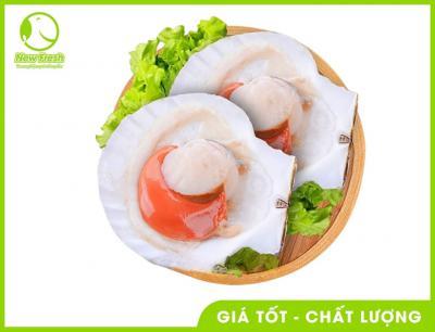 Combo 2Kg Sò Điệp Nhật Nửa Mảnh Size 8/10
