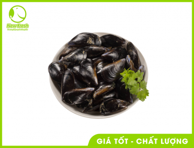Combo 2Kg Vẹm Đen Chile Nguyên Con