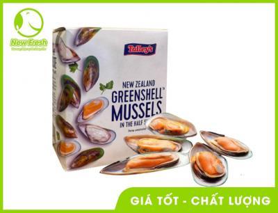 Combo 2Kg Vẹm Xanh Newzealand Talley