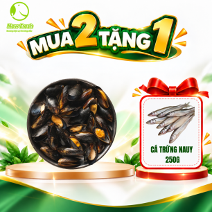 Vẹm Đen Chile Nguyên Con - Mua 2 Tặng 1