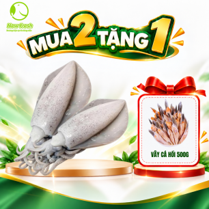 Mực Lá - Mua 2 Tặng 1