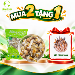 Ốc Bulot Pháp - Mua 2 Tặng 1