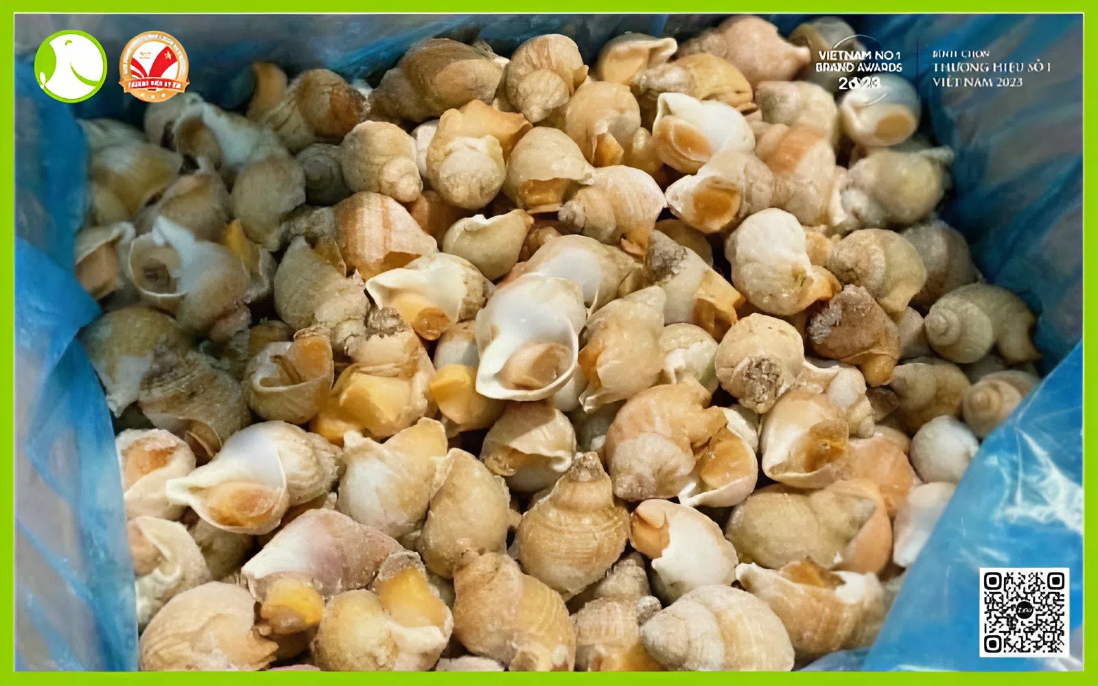 Ốc bulot nhập