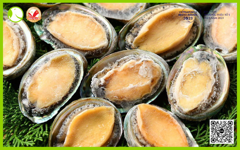 bào ngư viền xanh