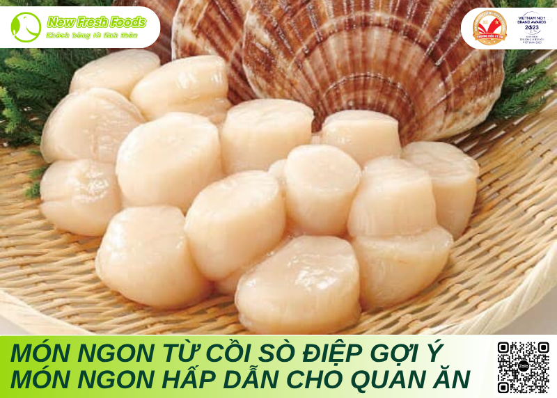 gợi ý món ngon từ côi sò điệp