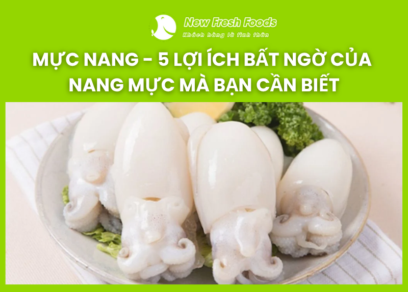 mực nang và tác dụng của nang mực
