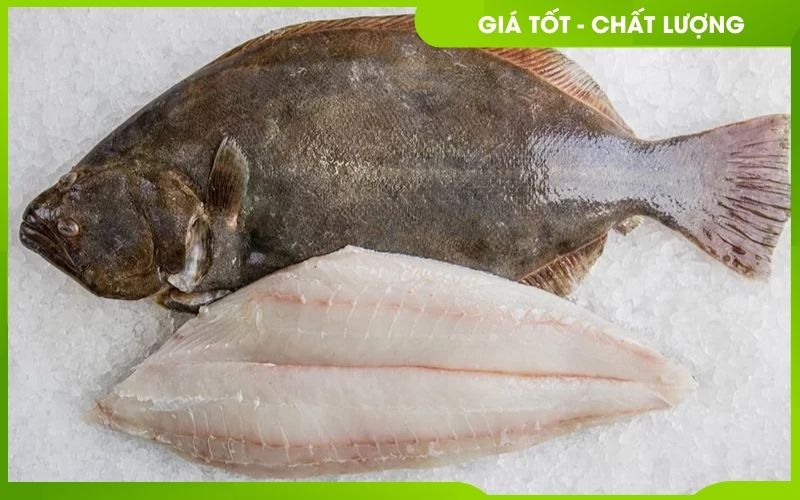 cá bơn fillet