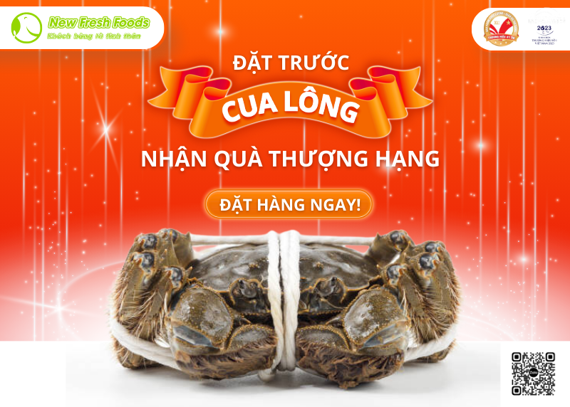 TẶNG NGAY 01 chai Rượu Vang cao cấp khi ĐẶT TRƯỚC từ 5kg Cua Lông thượng hạng