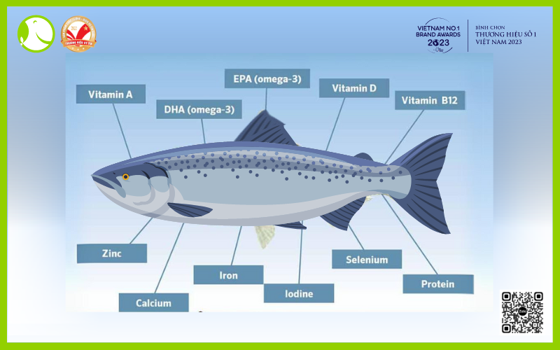 Thành phần dinh dưỡng có trong cá