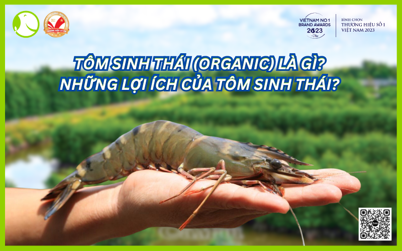 Tôm sinh thái xu hướng lựa chọn của chị em nội trợ thời nay