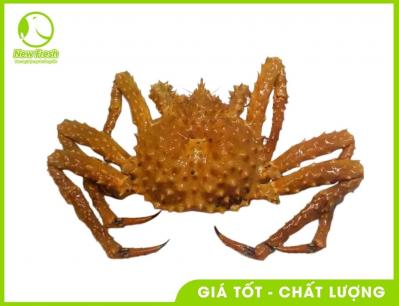 Cua Hoàng Đế Vàng Tươi