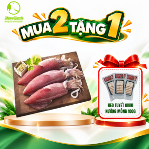 Mực Ống Làm Sạch Đặc Biệt 8-12