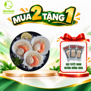 Sò Điệp Nhật Nửa Mảnh Size 8/10