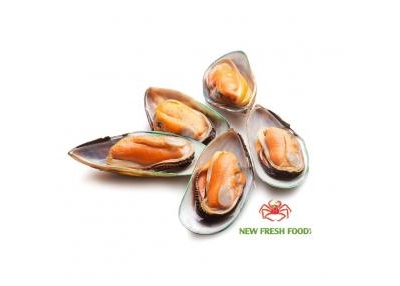 Vẹm Xanh Newzealand - Giá Tốt - Hàng Chất Lượng Vẹm Xanh Newzealand - Giá Tốt - Hàng Chất Lượng