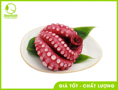 Râu Bạch Tuộc
