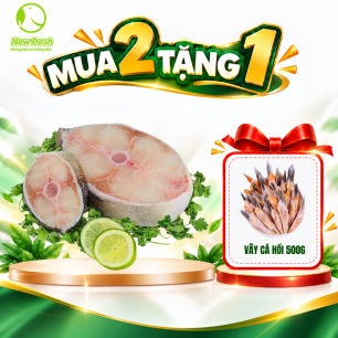 Cá Bớp Cắt Khoanh