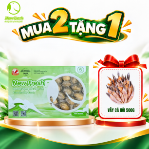 Bào Ngư Đông Lạnh New Fresh Size 20/22