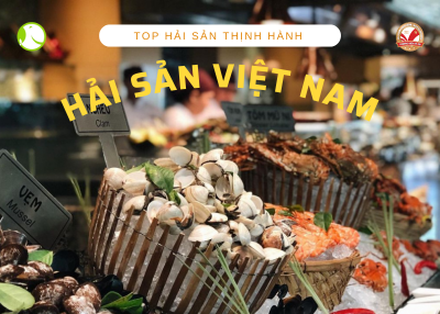 Top 7 Loại Hải Sản Việt Nam Được Ưa Chuộng Hiện Nay