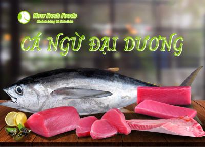 Tổng Hợp Các Quy Cách Từ Cá Ngừ Đại Dương Tại New Fresh Food