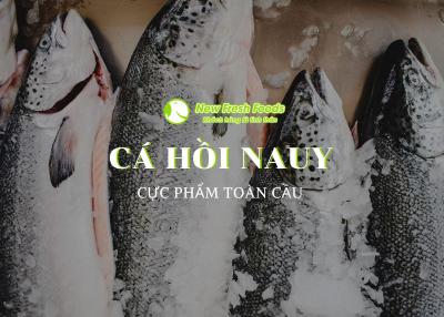 Cực Phẩm Toàn Cầu - Cá Hồi Nauy Được Yêu Thích Nhất Tại New Fresh Foods