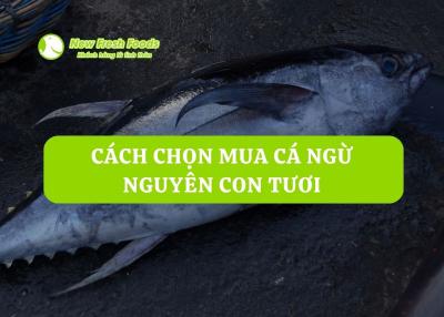 Cách Chọn Mua Cá Ngừ Nguyên Con Tươi