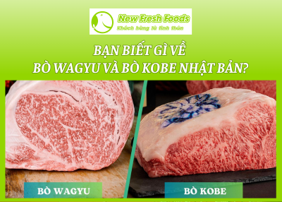 Bạn Biết Gì Về Bò Wagyu Và Bò Kobe Nhật Bản?