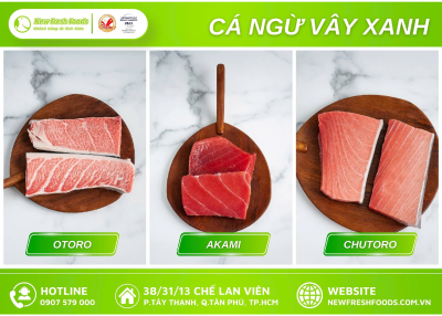 Cá Ngừ Vây Xanh Nhật Bản - Cực Phẩm Cho Menu Sashimi Cao Cấp