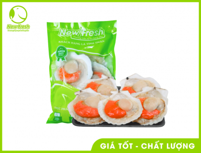 Sò Điệp Nhật Nửa Mảnh