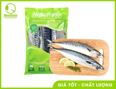Cá Saba Nauy Nguyên Con