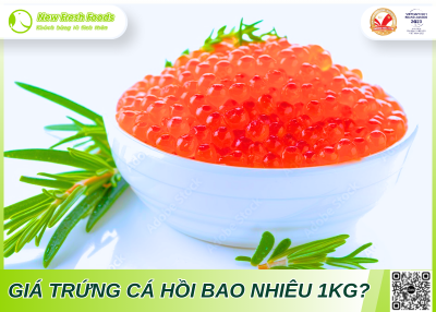 Giá Trứng Cá Hồi Bao Nhiêu 1Kg? Nơi Bán Trứng Cá Hồi Nhập Khẩu Chính Hãng?