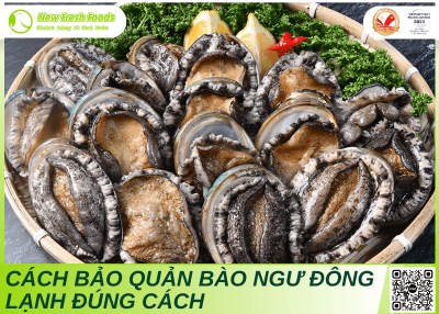 Bào Ngư Đông Lạnh Là Gì? Cách Bảo Quản Bào Ngư Đông Lạnh Đúng Cách