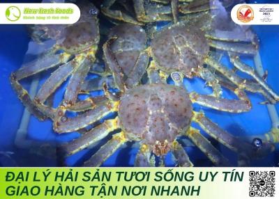 Đại Lý Hải Sản Tươi Sống Uy Tín – Giao Hàng Tận Nơi Nhanh