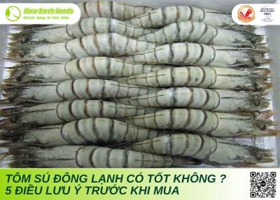 Tôm Sú Đông Lạnh Có Tốt Không? 5 Điều Lưu Ý Trước Khi Mua