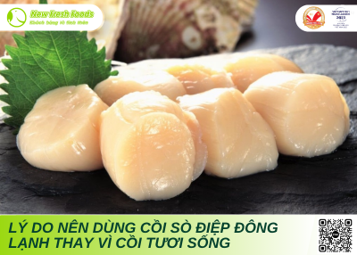 4 Lý Do Nên Chọn Sò Điệp Đông Lạnh Thay Vì Sò Điệp Tươi Sống
