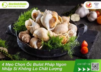 4 Mẹo Chọn Ốc Bulot Pháp Ngon – Nhập Sỉ Không Lo Chất Lượng