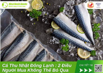Cá Thu Nhật Đông Lạnh : 2 Điều Người Mua Không Thể Bỏ Qua