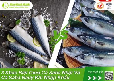 Cá Saba Nhập Khẩu: 3 Khác Biệt Giữa Cá Saba Nhật Và Cá Saba Nauy Khi Nhập Khẩu