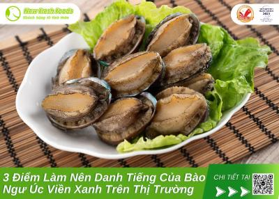 3 Điểm Làm Nên Danh Tiếng Của Bào Ngư Úc Viền Xanh Trên Thị Trường
