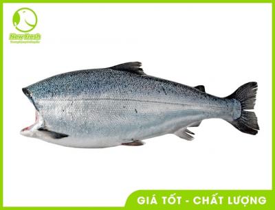 Combo 2Kg Cá Hồi Nguyên Con Không Đầu